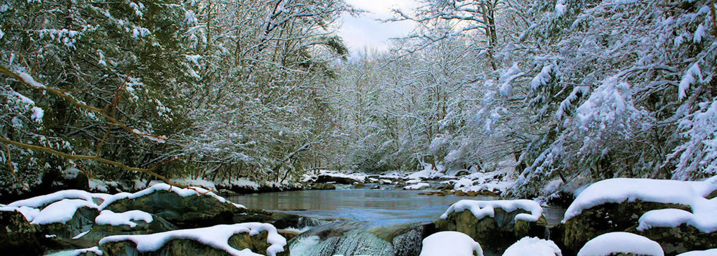 Picture of outdoor winter wedding location Greenbrier in the Great Smoky Mountain National Park