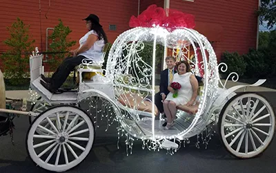 a carriage wedding in Pigeon Forge